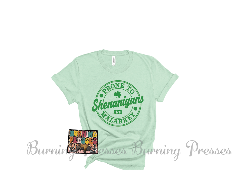1233 Shenanigans DTF/Sublimation Transfer