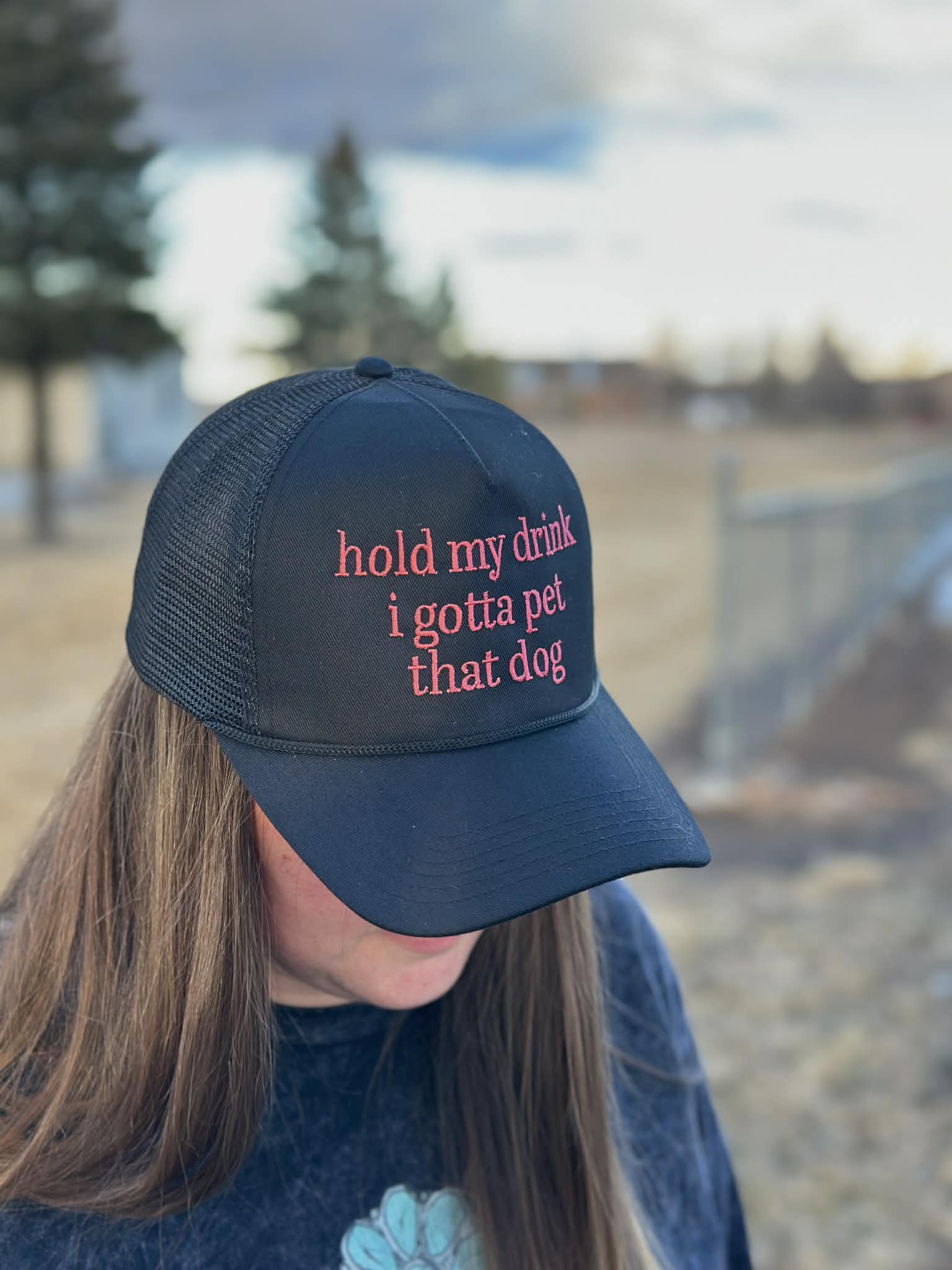 Embroidered Hold my drink while I pet this dog OTTO Hat