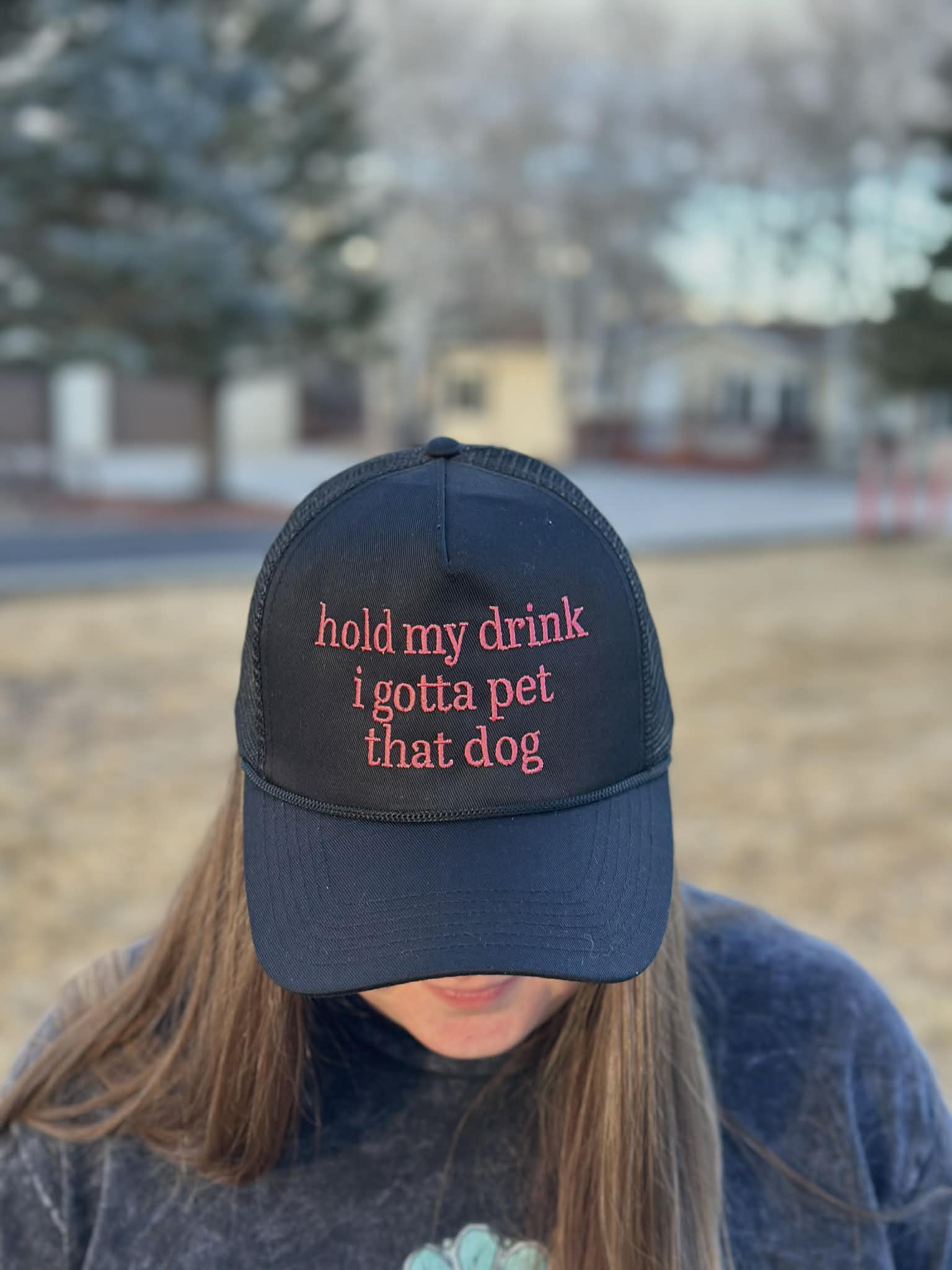 Embroidered Hold my drink while I pet this dog OTTO Hat