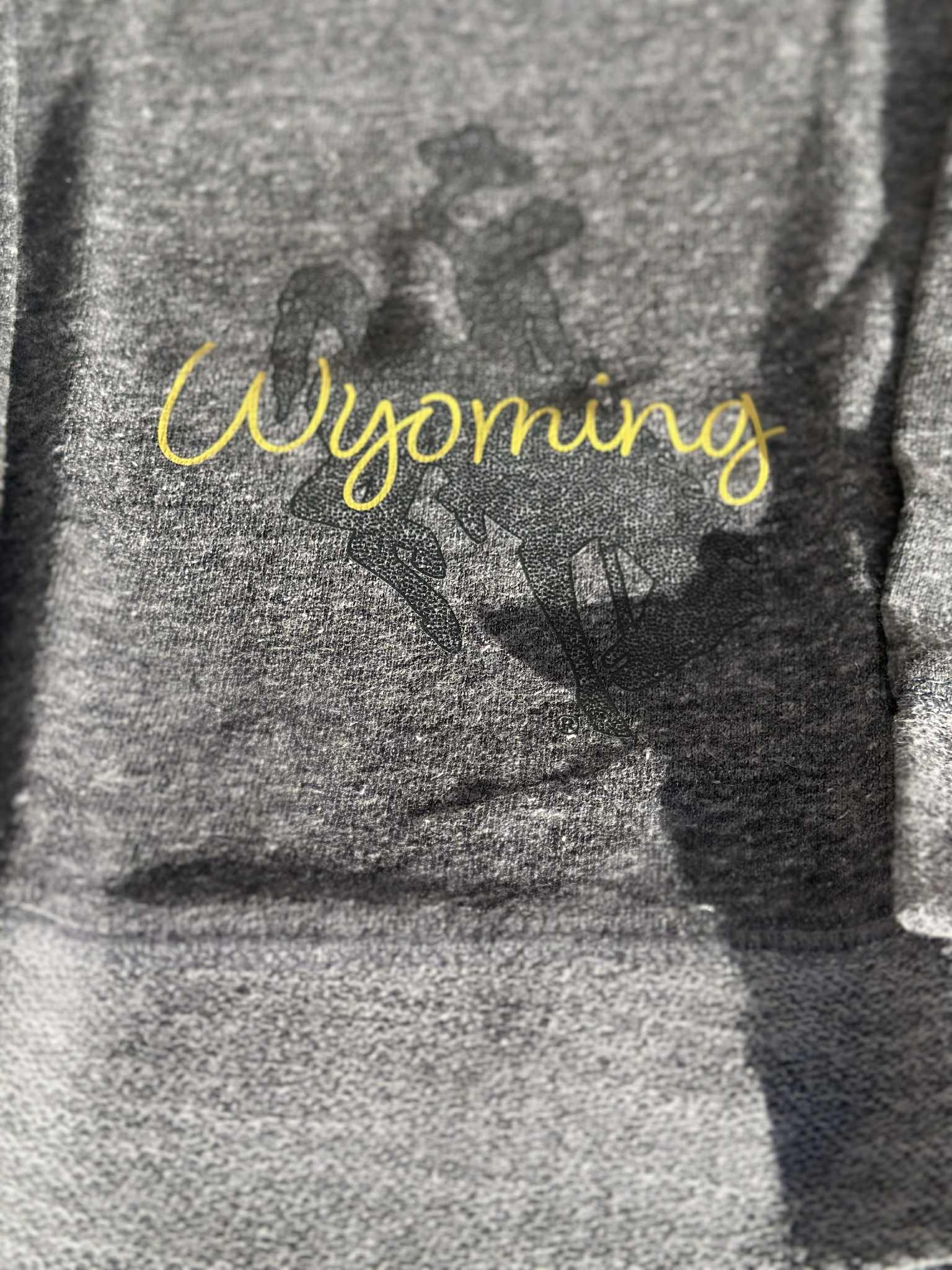 Youth Dark grey Wyoming Crewneck