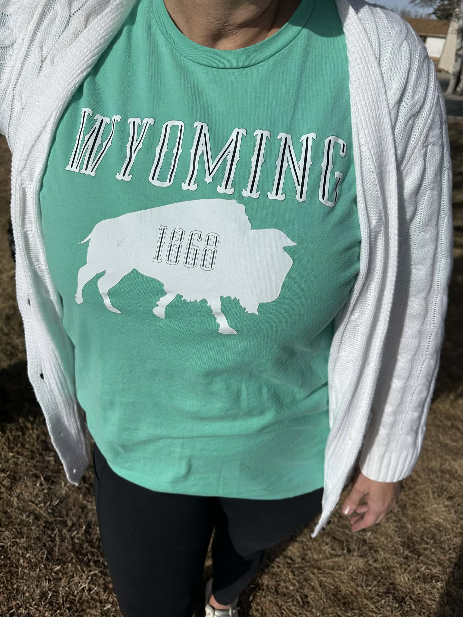 Wyoming 1868 T-shirt in Mint
