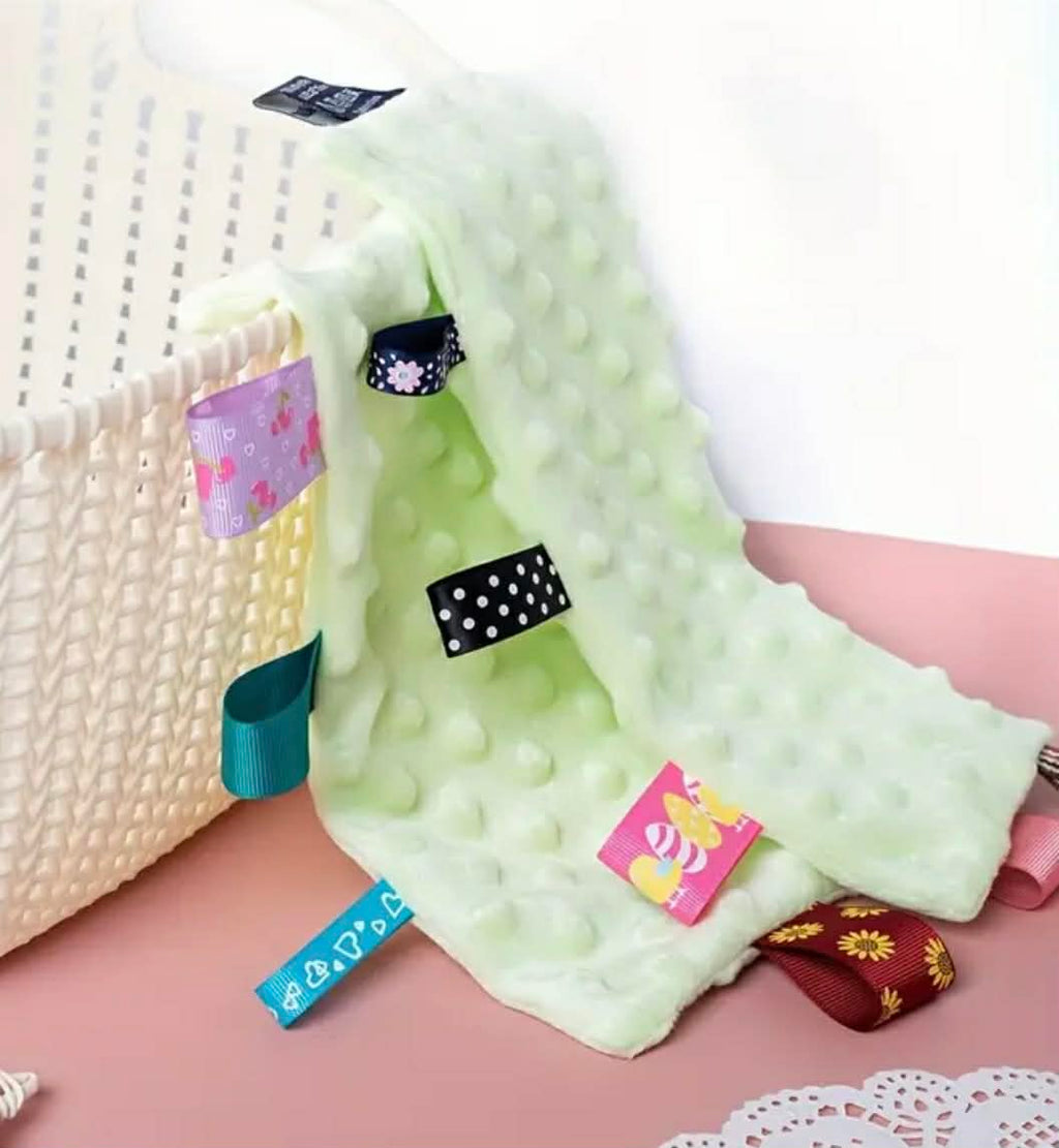 Baby Minky Lovies 4 colors to choose from and personalized