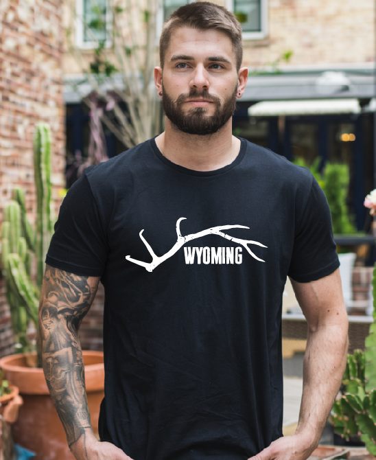 Wyoming Horns Hoodie or T-shirt