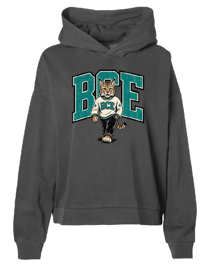 Distressed School Mascot Hoodie