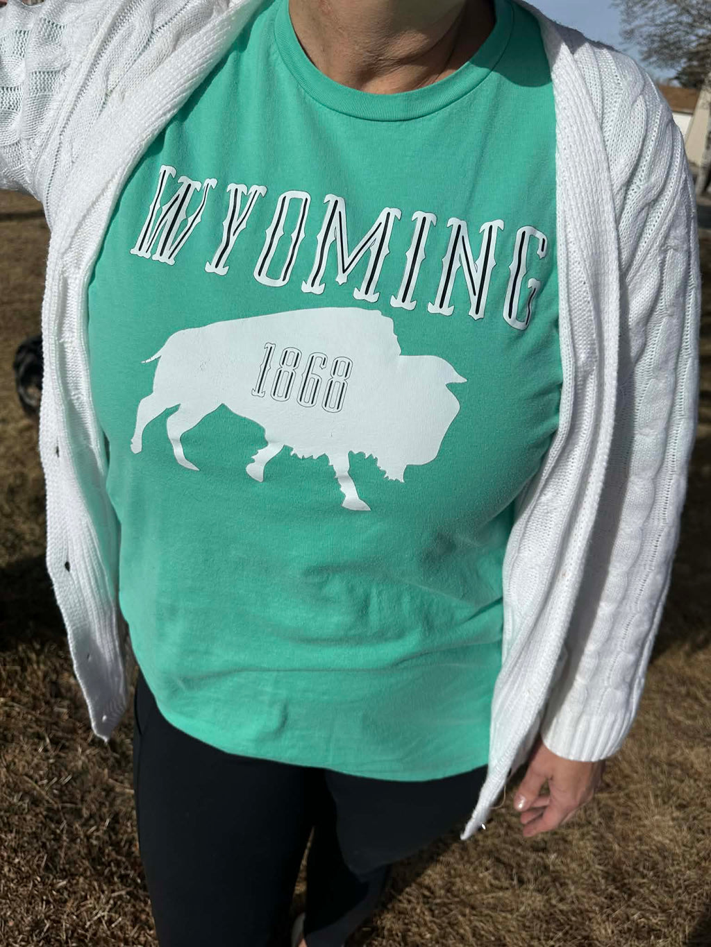 Wyoming 1868 T-shirt in Mint