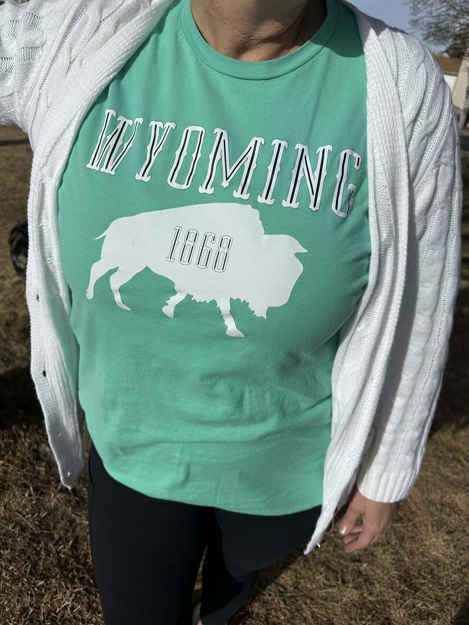 Wyoming 1868 T-shirt in Mint