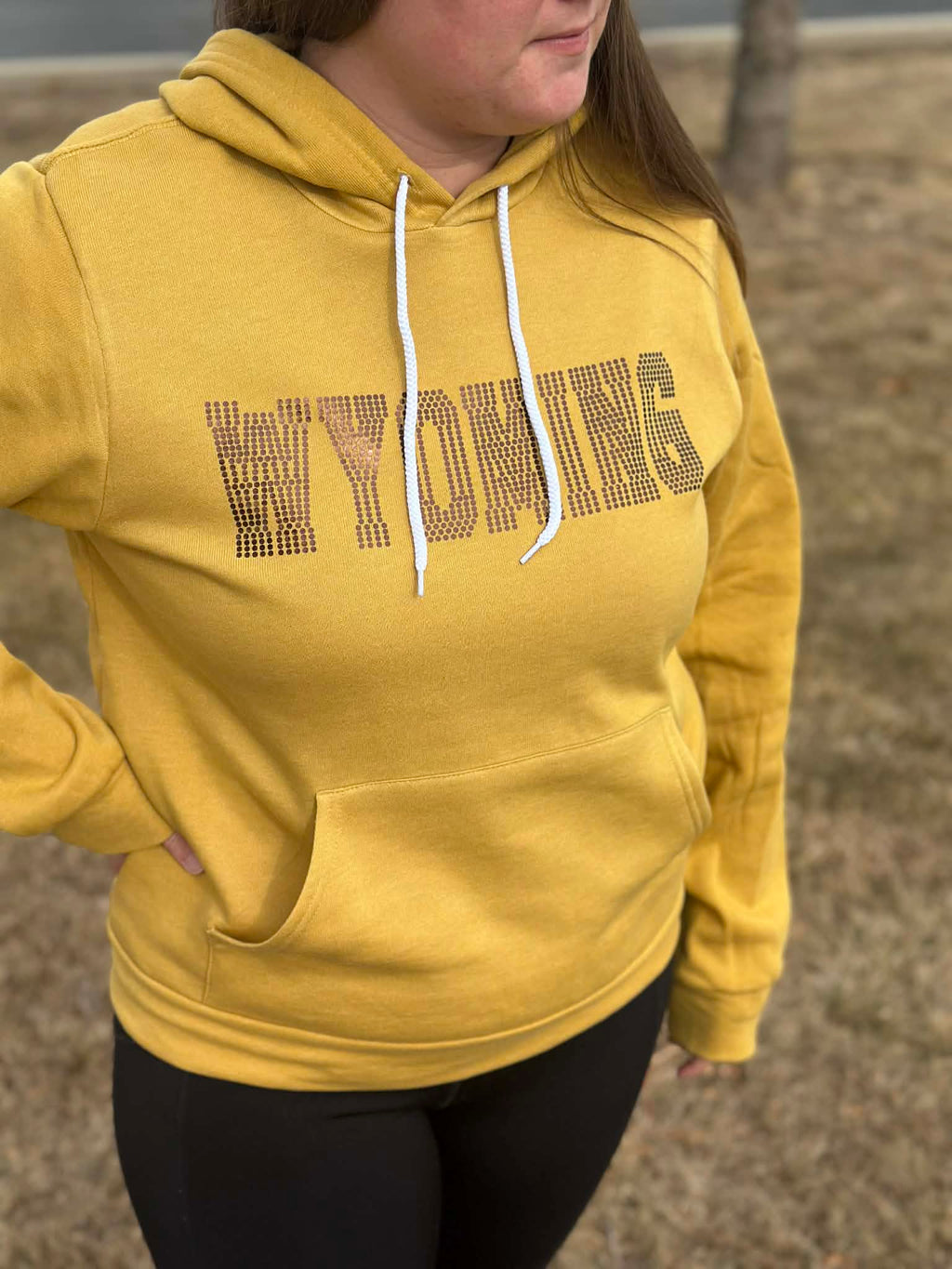 Wyoming Spangle Bella-Canvas hoodie