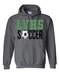 Lander Valley High School Soccer
