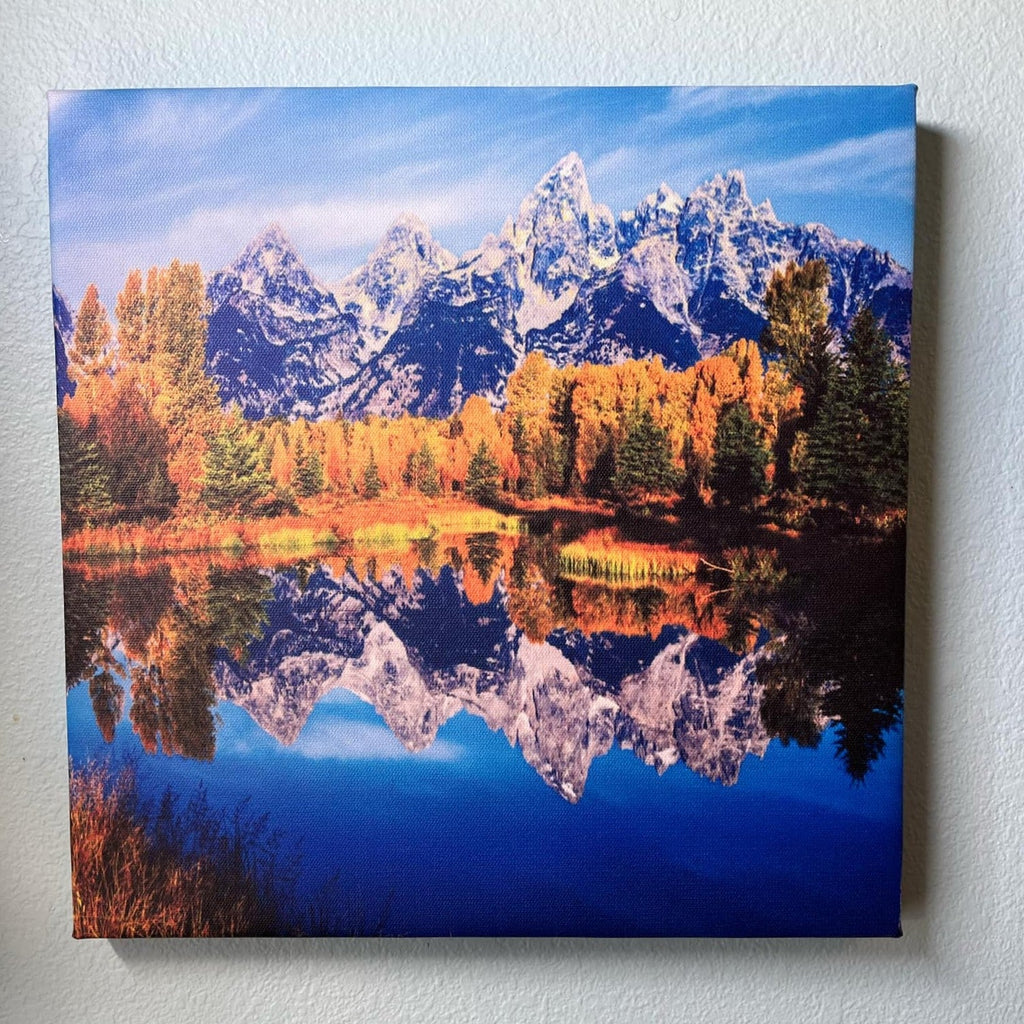 Custom Framed Canvas Photos